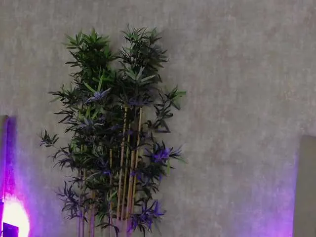 AmisRayy on BongaCams