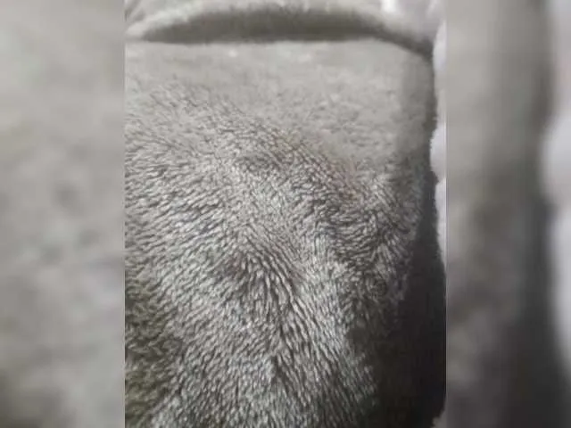 Anchelikaaa on BongaCams