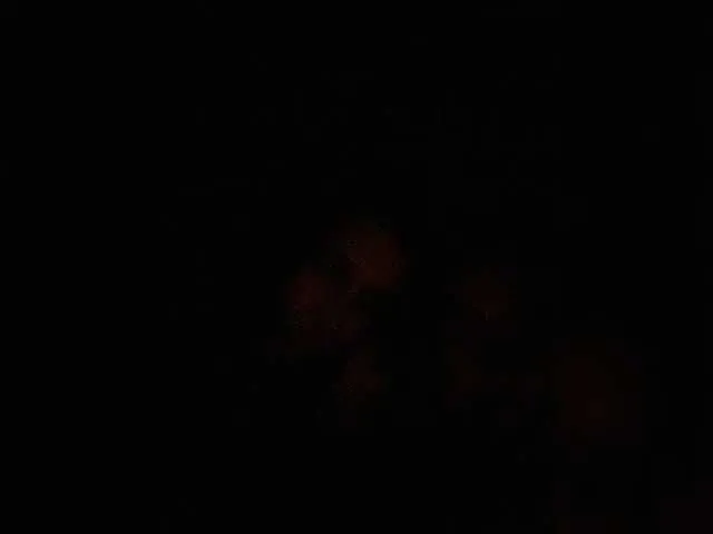 Di-Quodnone — From candy's )) @ @total  @sofar  @total 