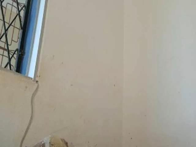 Offline hoelygrail on BongaCams