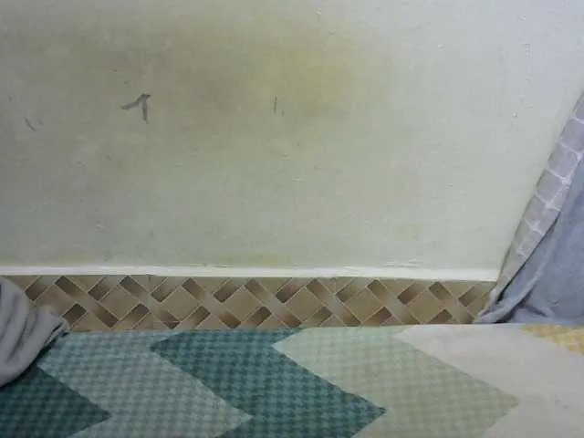 Hot-Jazmin — Freechat on BongaCams