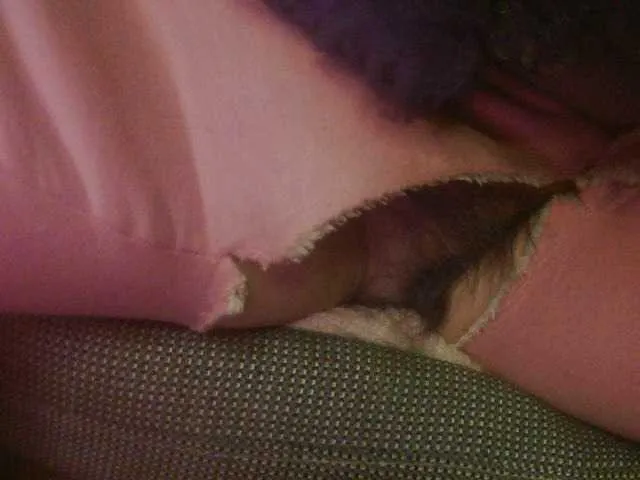 hujiajiajia1314 on BongaCams