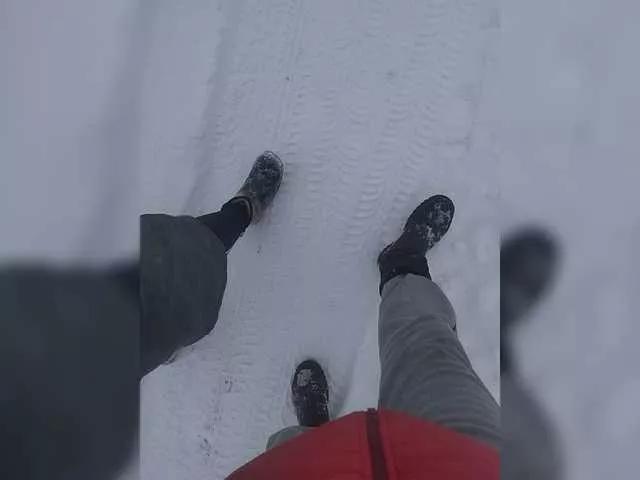 NASALEX