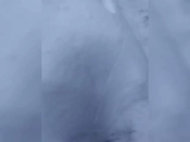 NASALEX