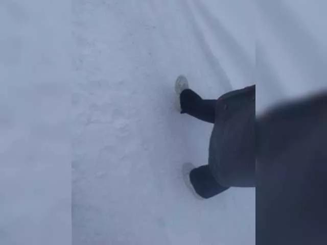 NASALEX