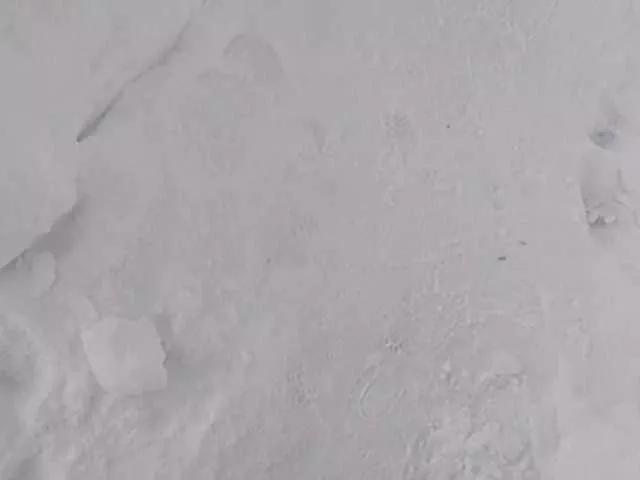 NASALEX