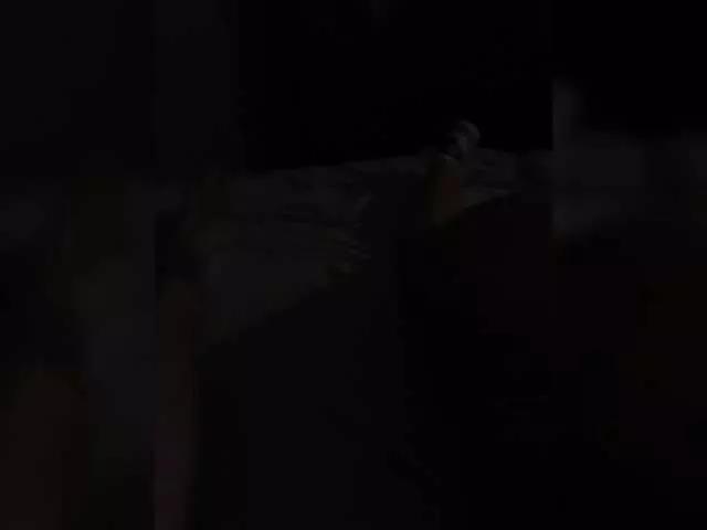 Para-po-paramam