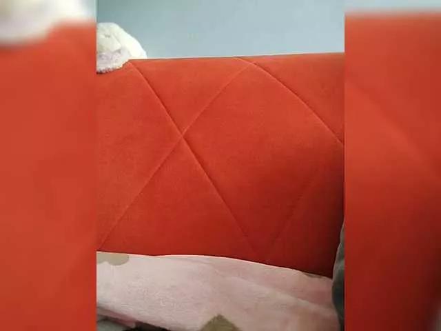 puppy19