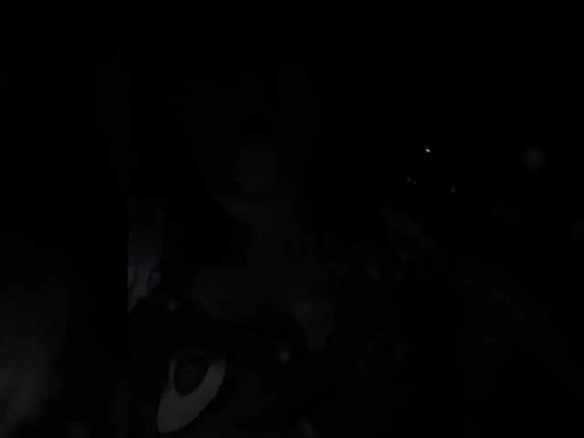 Stasja1 on BongaCams 