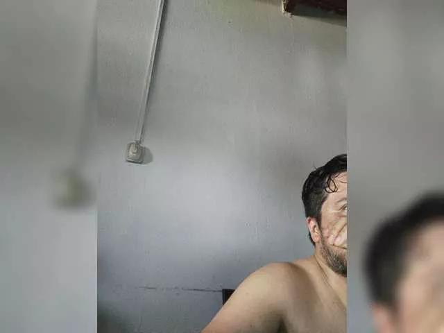 Wolfycurioso2