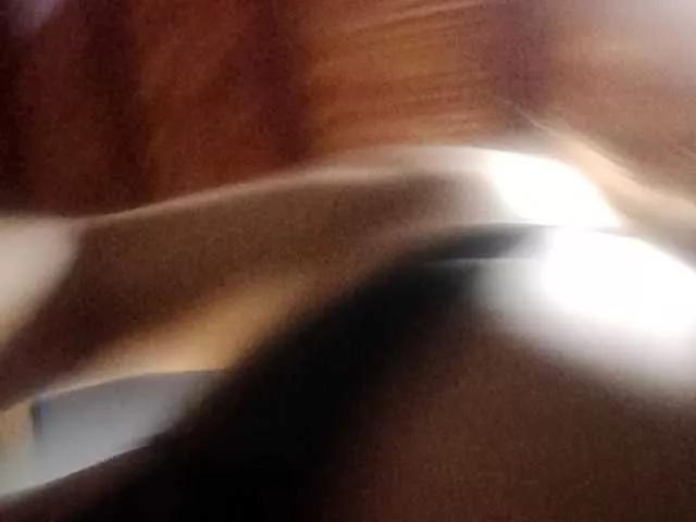 Wolfycurioso2