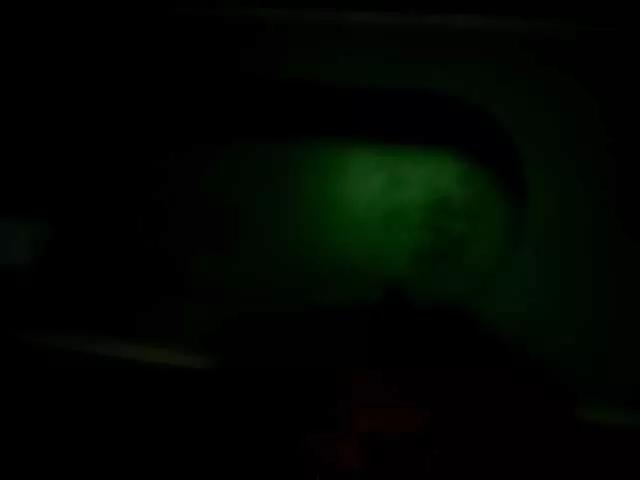 Wolfycurioso2