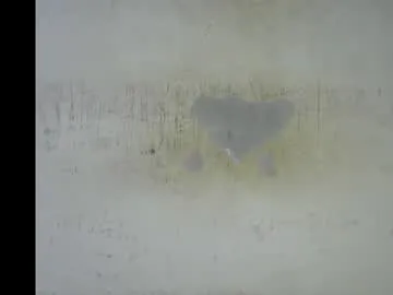 hot_choco2 on Chaturbate