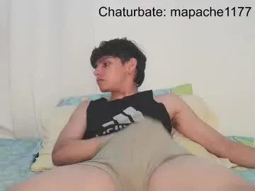 mapache1177 on Chaturbate