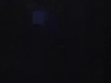 stefdaffy — Lovense Lush on - Interactive Toy that vibrates with your Tips #lovense