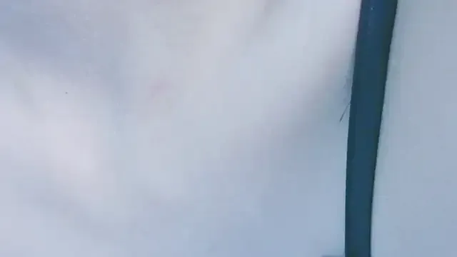 _Yin_204 — Lick toy