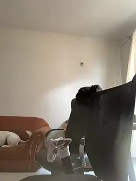 Dahian_XXX on StripChat