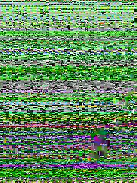 Hachi_Sweetbabie_ — Happy new year 2026