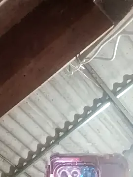 Lin-miuu — I am a poor girl. Please help me.