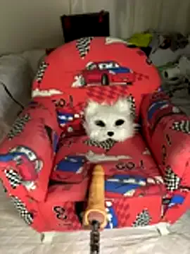 Ozge-SluttyScream69 on StripChat