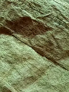 RASIYAN_RANI — My house  dream