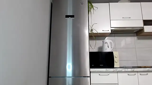 SierraSky_ — take off panties + show pussy