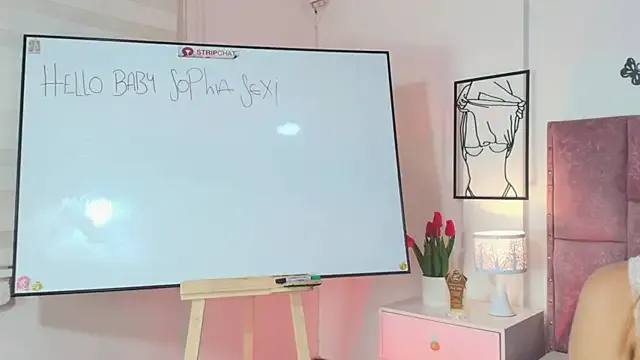 SophiaConor1 — Freechat on StripChat