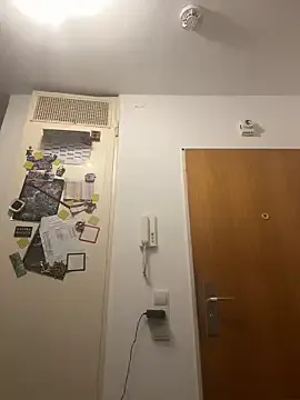 Toyjungee — Live bis 15 Uhr